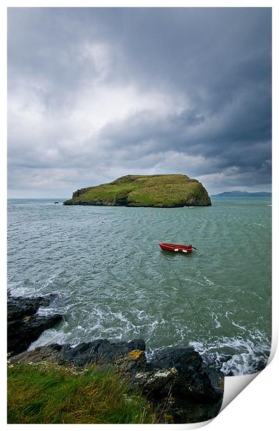 Ynys Y Castell Print by Mark Robson