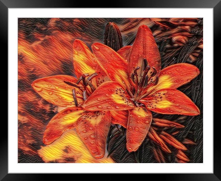 fiery Framed Mounted Print by sue davies