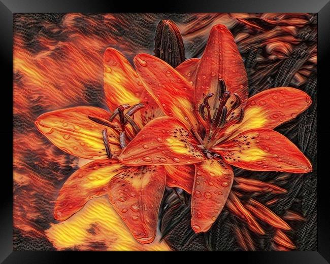 fiery Framed Print by sue davies