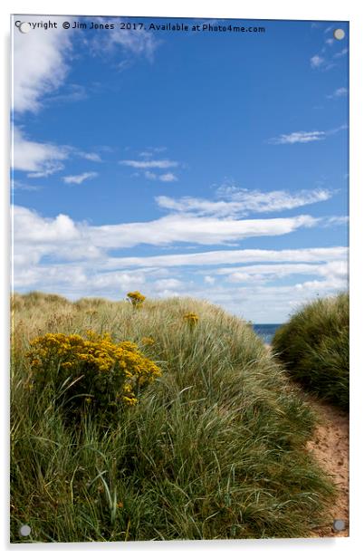 The path to Druridge Bay Acrylic by Jim Jones
