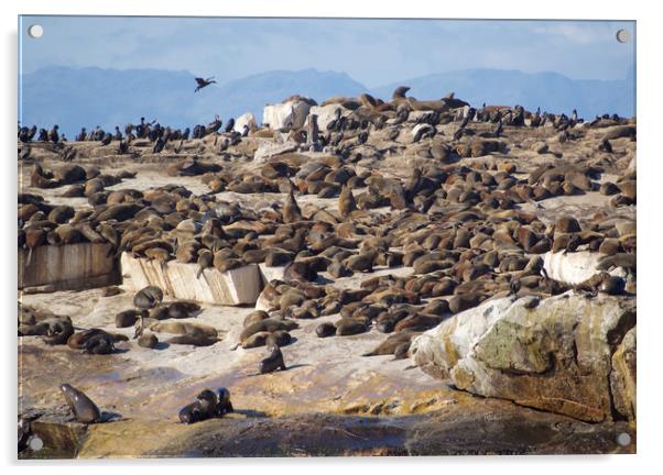 Seal Island, South Africa      Acrylic by mark humpage