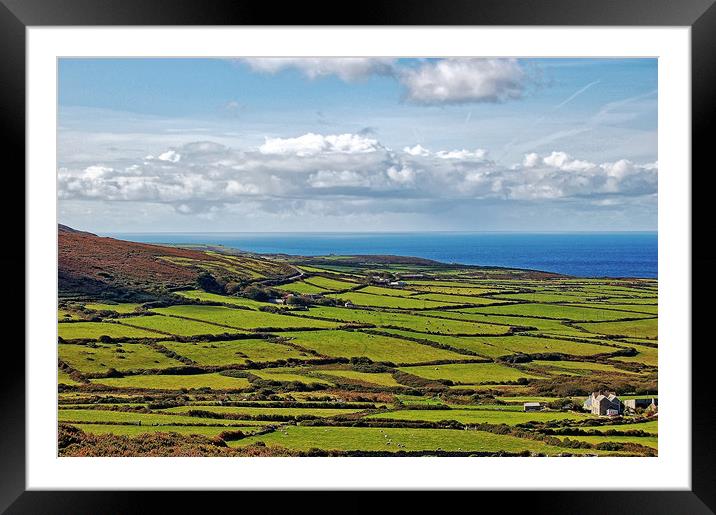 Fields of Cornwall Framed Mounted Print by Philip Gough