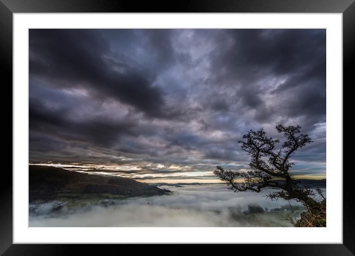 Crooked Tree dawn Framed Mounted Print by John Finney
