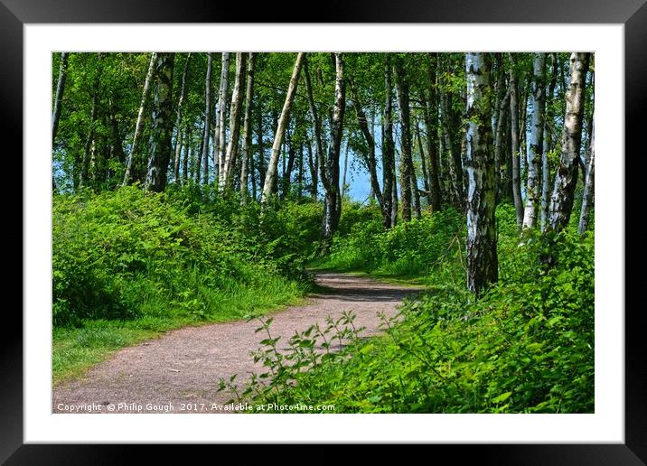 A walk in the woods Framed Mounted Print by Philip Gough