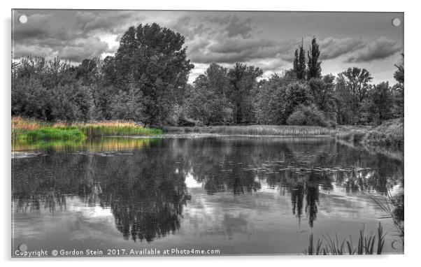 Jezioro Powsinkowskie Reflections Acrylic by Gordon Stein