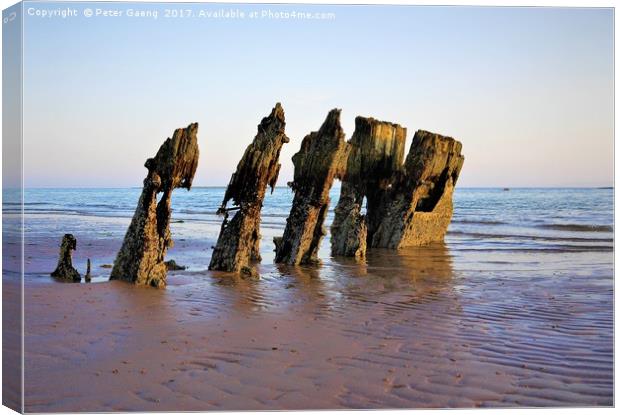 Stuck on the beach.  Canvas Print by Peter Gaeng