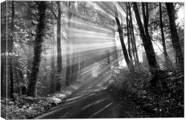 Crepuscular rays (black and white).  Canvas Print by John Finney
