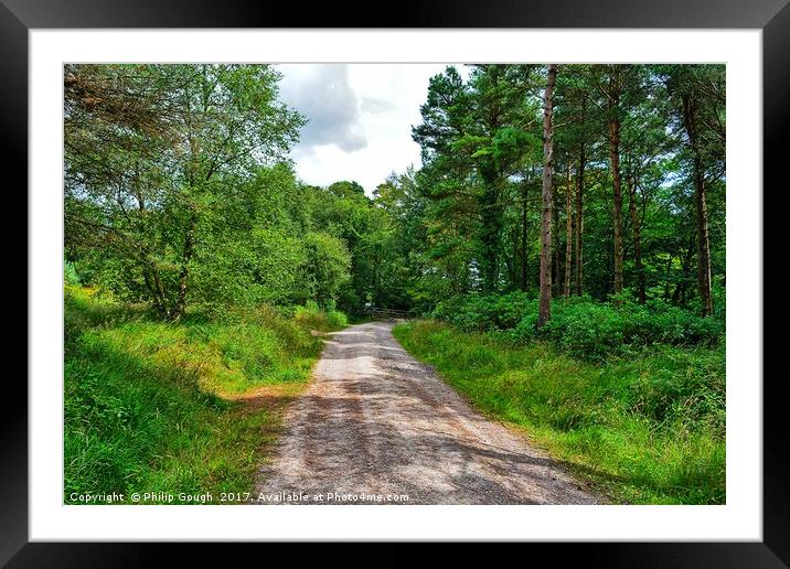 Walking in Trinity Woods Framed Mounted Print by Philip Gough