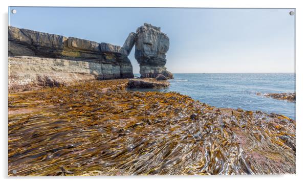 Seaweed. Acrylic by Mark Godden