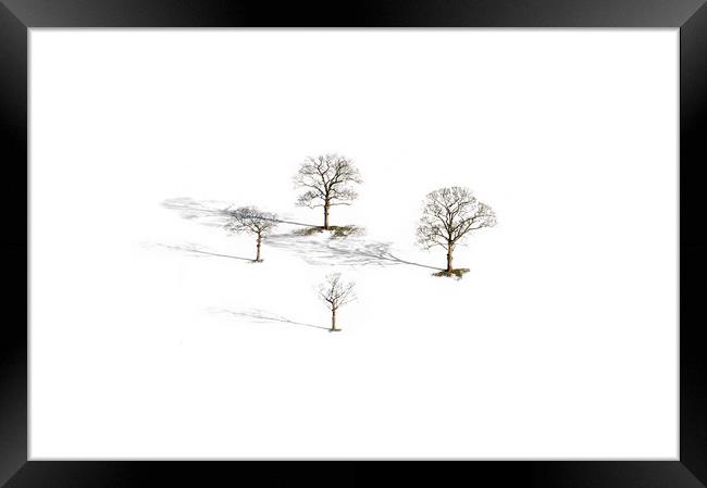 Four Trees  Framed Print by John Finney