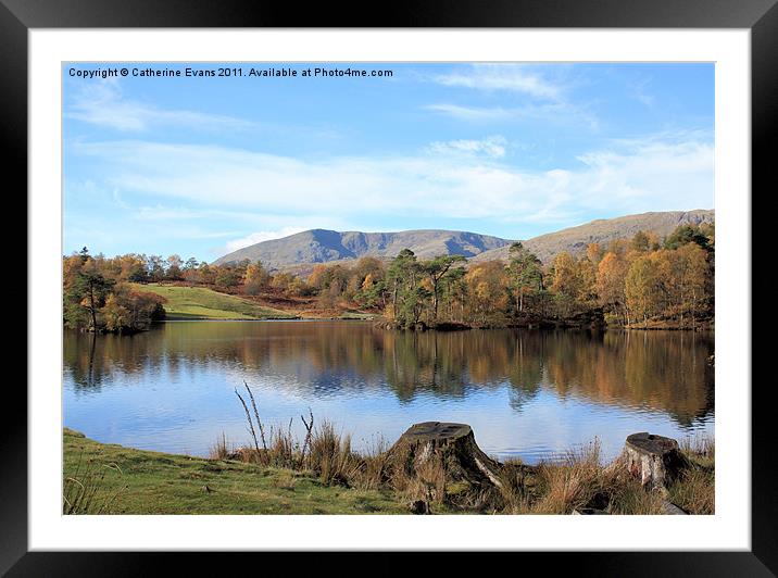 Tarn Hows #1 Framed Mounted Print by Catherine Fowler