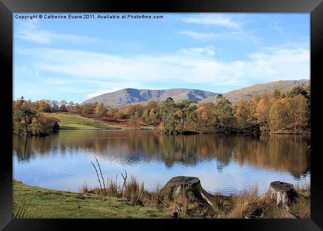 Tarn Hows #1 Framed Print by Catherine Fowler