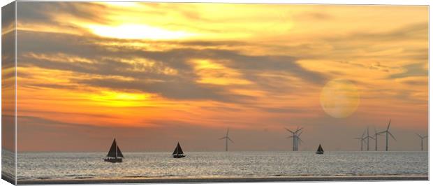 out to sea Canvas Print by sue davies