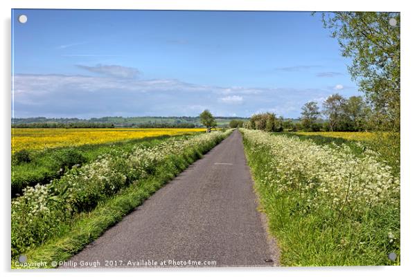 Road Through the Somerset Levels Acrylic by Philip Gough