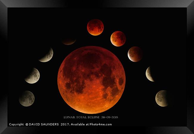 HARVEST SUPER MOON ,LUNAR TOTAL ECLIPSE 28-09-2015 Framed Print by DAVID SAUNDERS