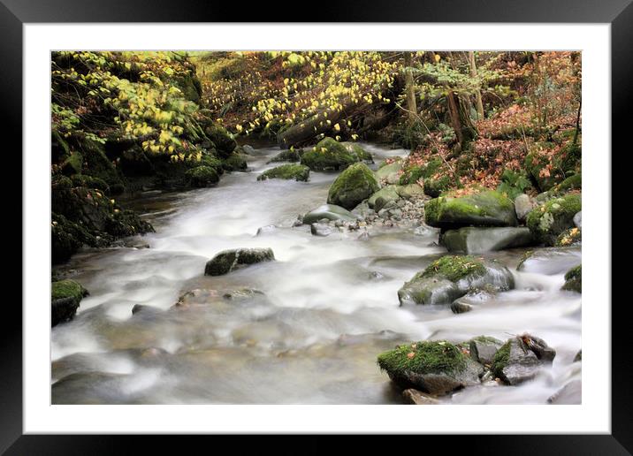 Stock Ghyll #1 Framed Mounted Print by Catherine Fowler
