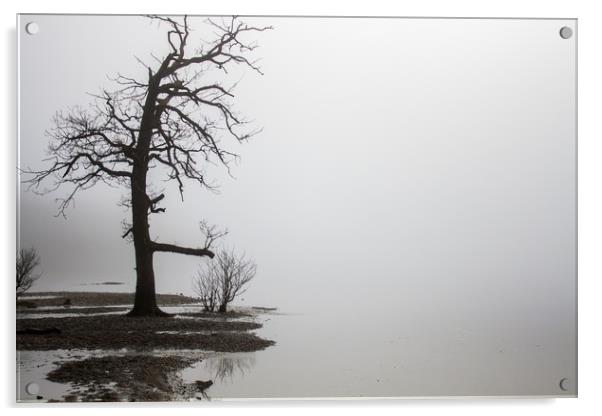 Foggy Loch Lomond Acrylic by Darren Lowe