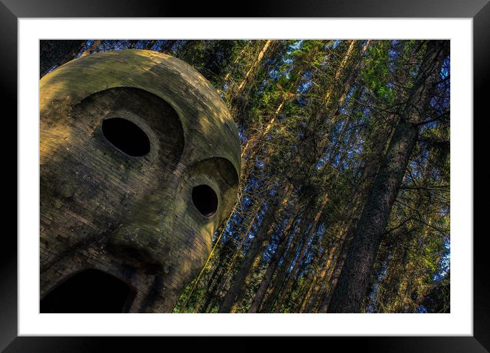 Into the Woods Framed Mounted Print by Darren Lowe