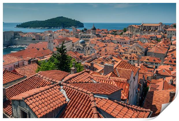 Dubrovnik city in southern Croatia Print by Leighton Collins