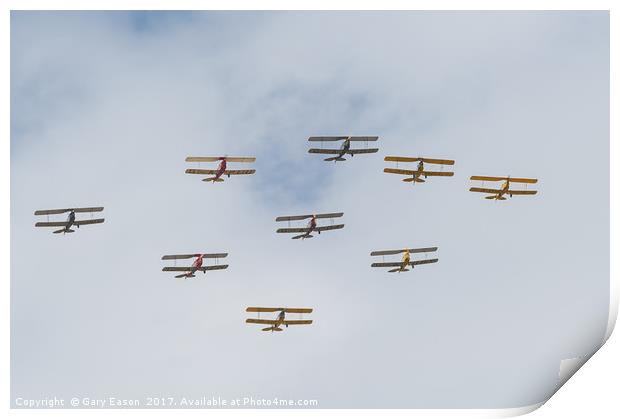 Tiger Moth formation Print by Gary Eason