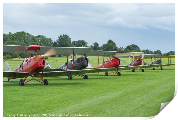 Tiger Moths formation shutdown Print by Gary Eason