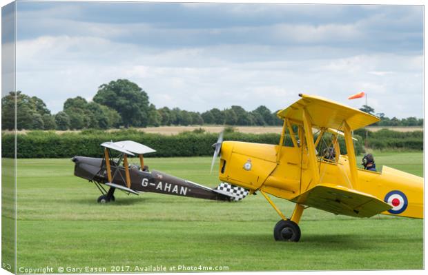 De Havilland Tiger Moths taxiing Canvas Print by Gary Eason