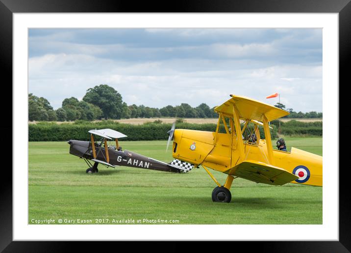 De Havilland Tiger Moths taxiing Framed Mounted Print by Gary Eason