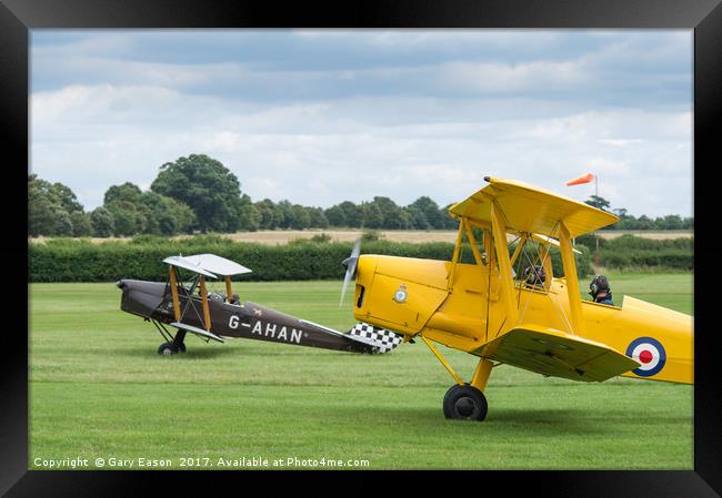 De Havilland Tiger Moths taxiing Framed Print by Gary Eason