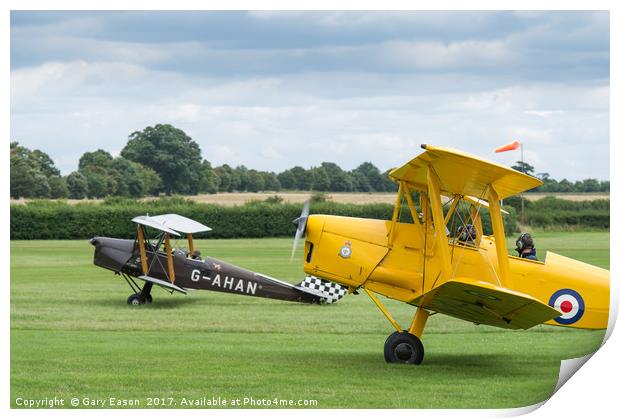 De Havilland Tiger Moths taxiing Print by Gary Eason