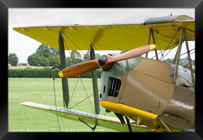 De Havilland Tiger Moth propeller Framed Print by Gary Eason