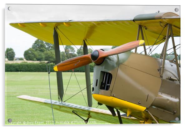 De Havilland Tiger Moth propeller Acrylic by Gary Eason