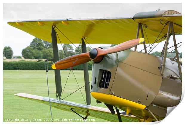 De Havilland Tiger Moth propeller Print by Gary Eason