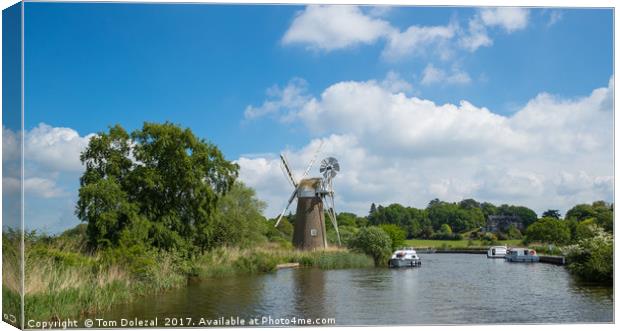 Windmill on the Norfolk Broads Canvas Print by Tom Dolezal