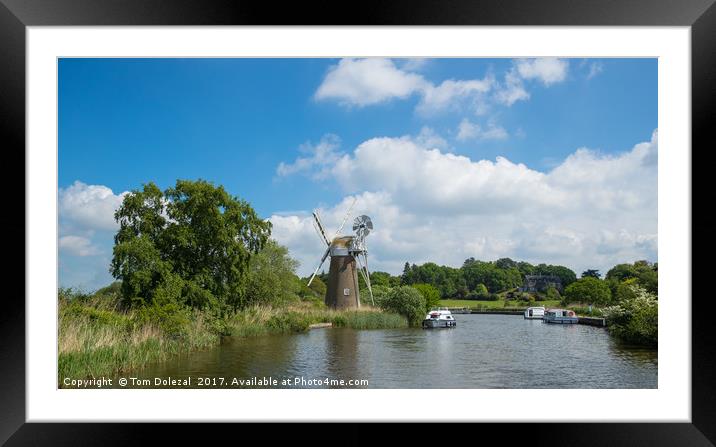 Windmill on the Norfolk Broads Framed Mounted Print by Tom Dolezal