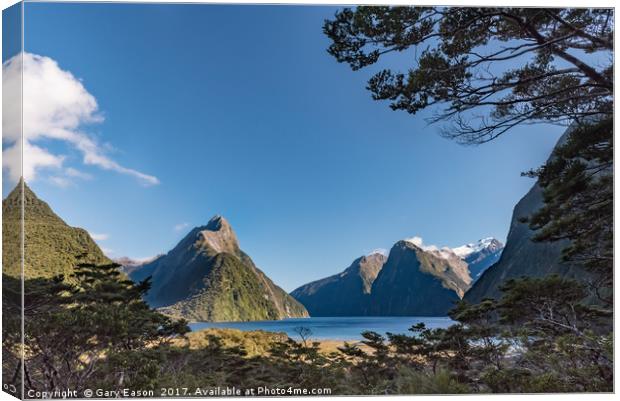 Milford Sound overlook Canvas Print by Gary Eason