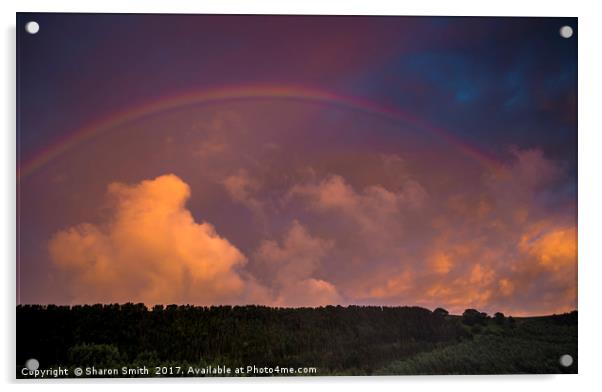 Rainbow Acrylic by Sharon Smith