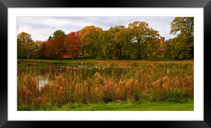 Autumn in Kenilworth Framed Mounted Print by Gill Allcock
