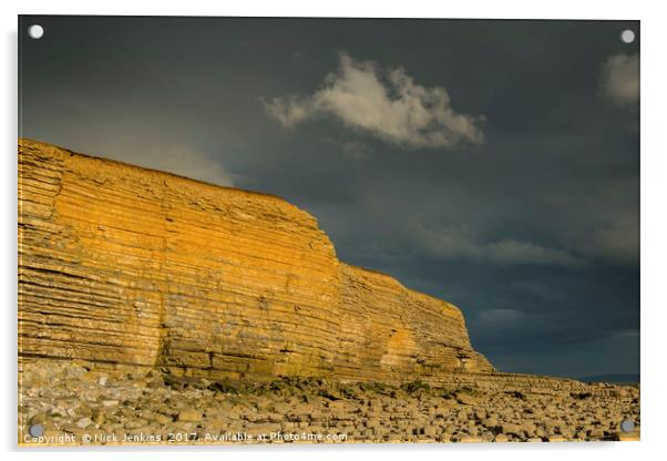 Nash Point Cliffs Summer Evening South Wales  Acrylic by Nick Jenkins