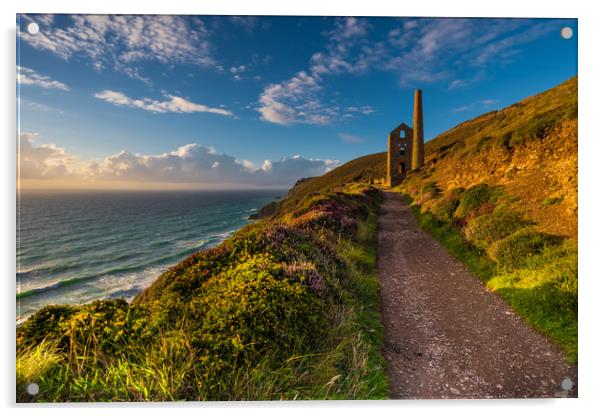 Wheal Coates, St Agnes, Cornwall UK Acrylic by Michael Brookes
