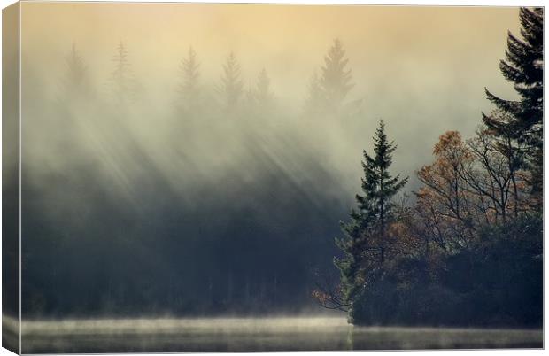 Loch Ard,Mist and sun... Canvas Print by David Mould