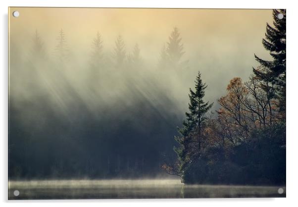 Loch Ard,Mist and sun... Acrylic by David Mould