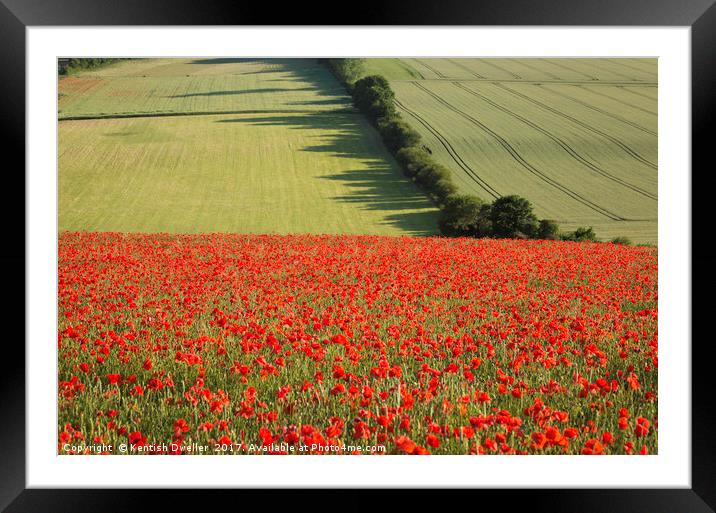 Poppies on the North Downs Framed Mounted Print by Kentish Dweller