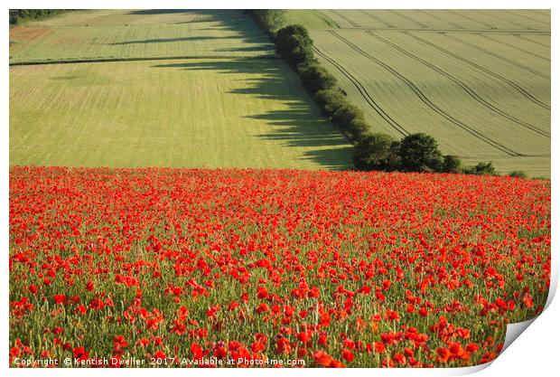 Poppies on the North Downs Print by Kentish Dweller