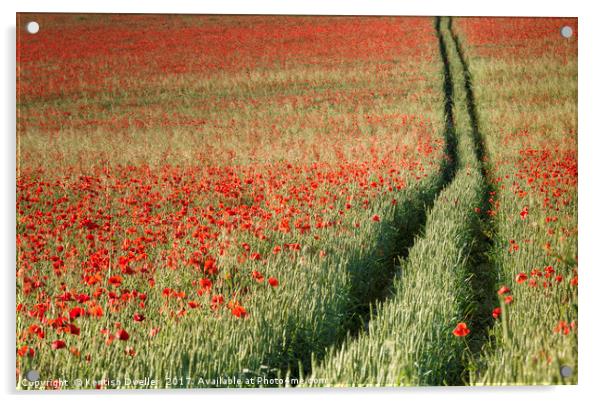 Poppy Pathway Acrylic by Kentish Dweller