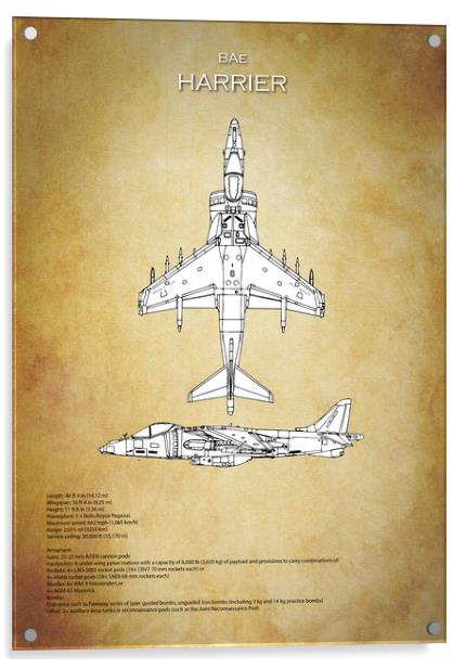 BAe Harrier Acrylic by J Biggadike