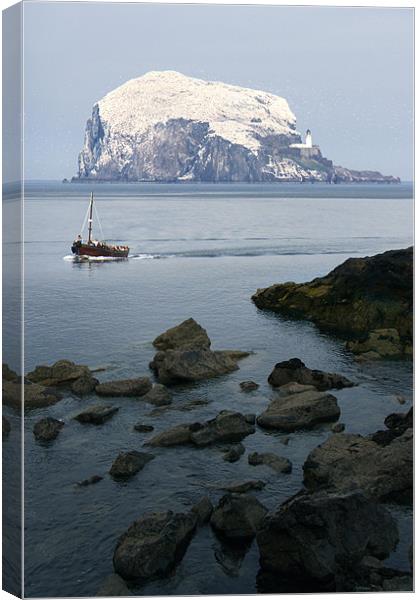 Bass Rock Canvas Print by Linda More
