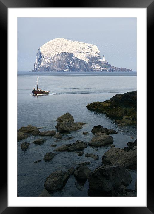 Bass Rock Framed Mounted Print by Linda More