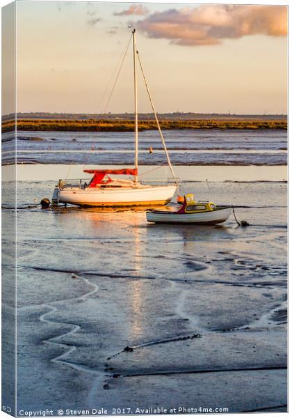 Stranded at Low Tide Canvas Print by Steven Dale