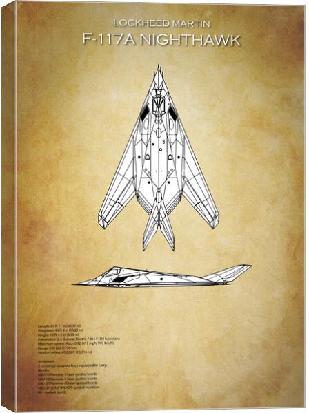 Lockheed F-117A Nighthawk Canvas Print by J Biggadike