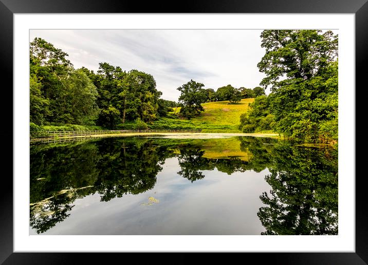 Mill Pond Framed Mounted Print by Mal Spain